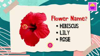 Can You Guess Flower Name Quiz | Fun Learning Games For Kids, Toddlers, preschool | Cute Cupcakes screenshot 3