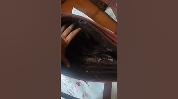 Zouk bag we can carry so many things in that #zouk #bag #youtube#shorts #diaperbag #shortvideo #vlog