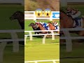 🐎🔥 This jockey saw an opening and made the PERFECT move! #HorseRacing #Viral #Trending #Sports #yt