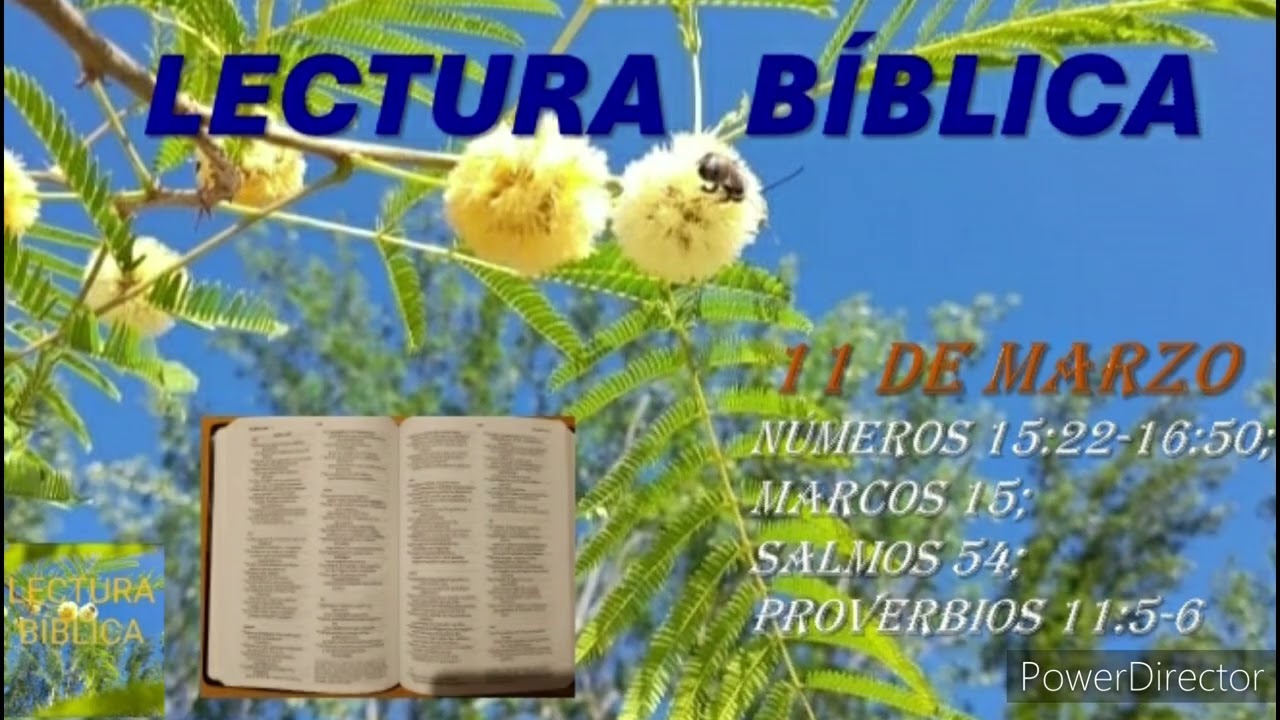 LECTURA BÍBLICA DIARIA - 11 DE MARZO
