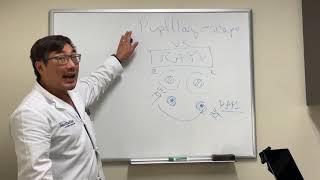 Rapd Vs Pupillary Escape