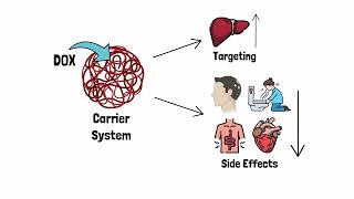 Dual-Ligand Functionalized Core-Shell Chitosan-Based Nanocarrier for Hepatocellular Drug Delivery