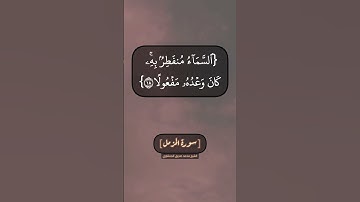 سورة المزمل الآية ١٥ الى ١٩ بصوت الشيخ محمد صديق المنشاوي