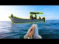 Amazing new panga fishing  spearfishing