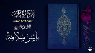 سورة الأحقاف فضيلة الشيخ ياسر سلامة
