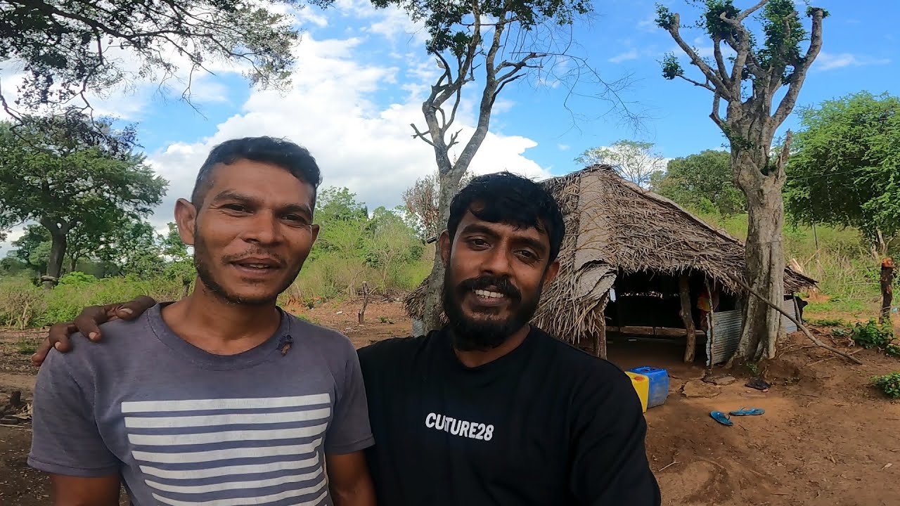 නුගේපොකුන හේන්යායට මනුස්සකම අරගෙන 🐘🌿@IslandFishing2  කැලේ මැද තනිඋන අපේම මිනිස්සු 