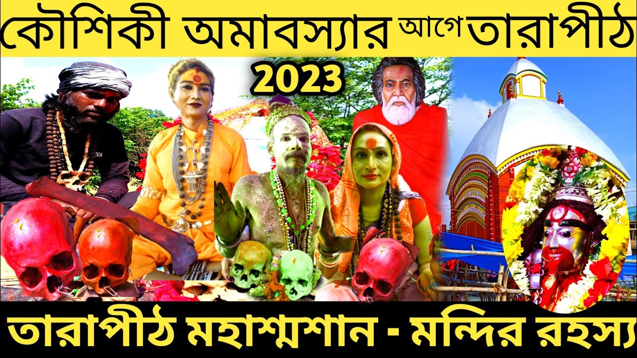 কৌশিকী অমাবস্যার আগে তারাপীঠ মন্দিরে যা হয় | Tarapith Mandir 2023 Kaushiki Amavashya #tarapith