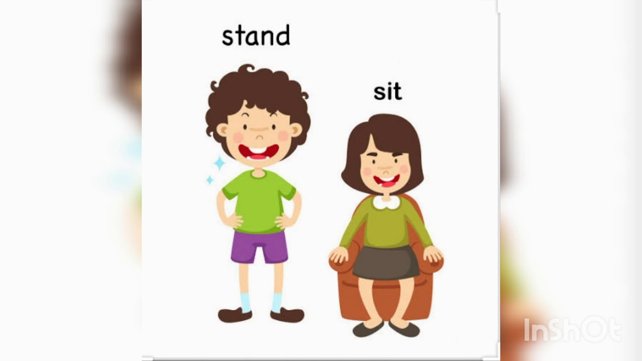 CLLE - Concept of Sit and Stand 