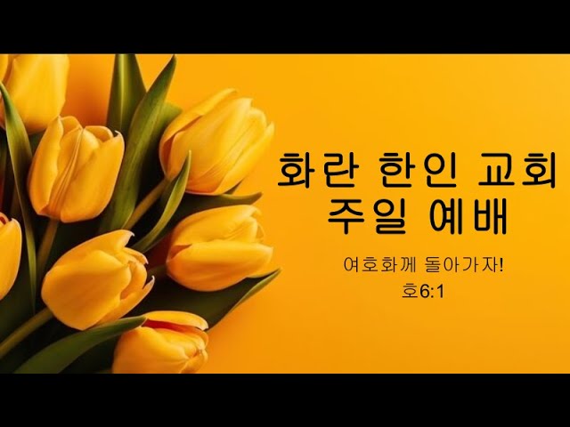 화란 한인 교회 11월 16일 온라인 예배