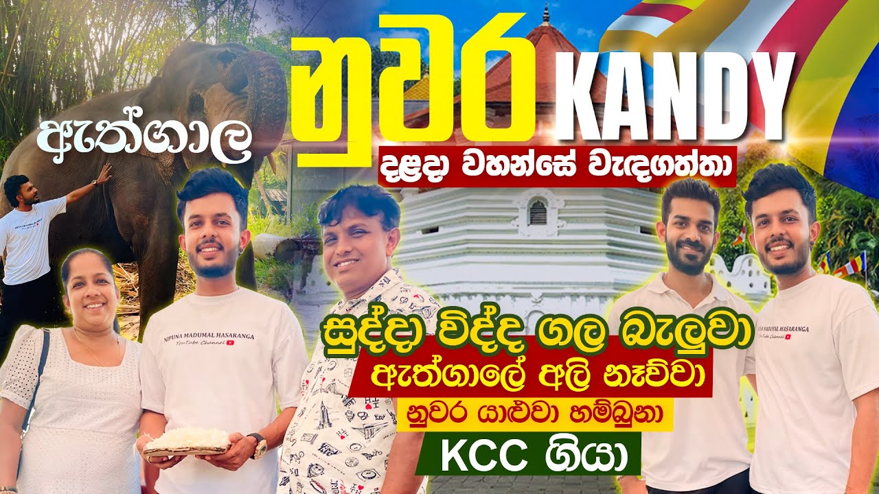 දළදා වහන්සේ වැන්දා..අලි නාවලා ආවා | Dalada Maligawa | Vlog 23