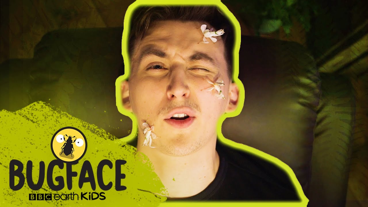 James Hobbs Meets The Heidi's! | BugFace | BBC Earth Kids
