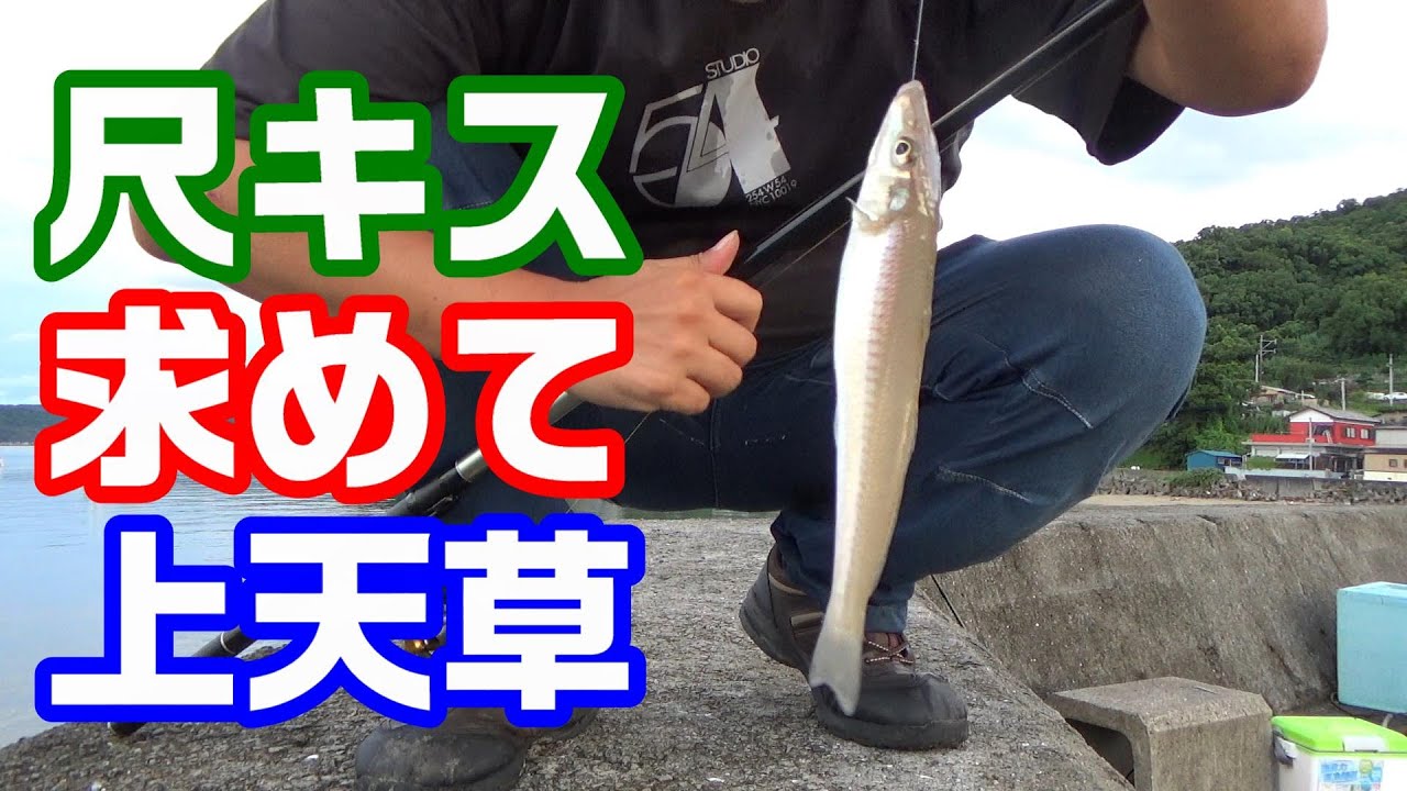 尺キス求めて上天草・龍ヶ岳