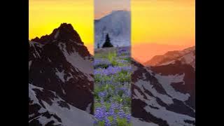 Natembea nikinyata  mapito choir