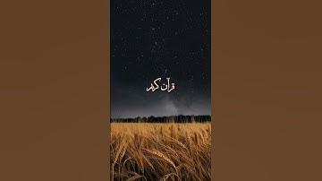 وكانوا مسلمين 🤍 - القارئ محمد دياب