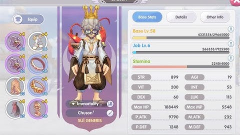 ROX Global Assassin Cross POV (Byalan Server)