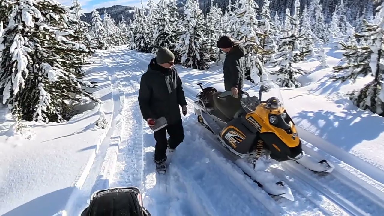 Fresh Snow Sledding