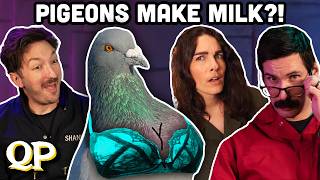 10 Unhinged Bird Facts w/ ipaintbirbs | Quizard's Pit Ep 9