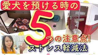 愛犬を急に預けるのはストレスがかかります。いざという時にストレスフリーで預けたいですよね【№147】