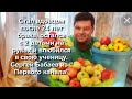 Стал вдовцом после 24 лет брака, остался с 2 детьми на руках и влюбился в свою ученицу Сергей Бабаев