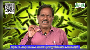 Class 9 | வகுப்பு 9 | அறிவியல் |  நுண்ணுயிரிகளின் உலகம்  | நோய்களும் .. | அலகு22 | பகுதி1| KalviTv