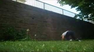 vattai marci 3run bails