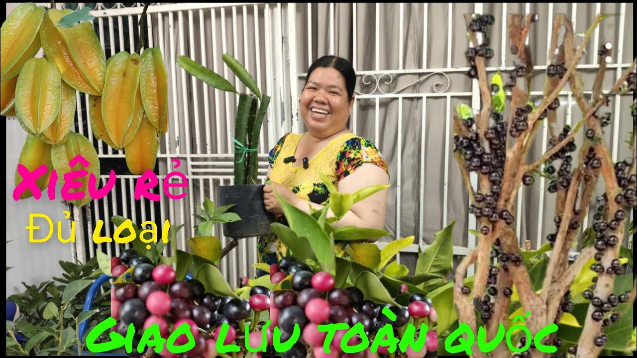 11/3 Giao lưu .Cây ăn trái .giống mới lạ nhiều loại .giá rẻ #lh0398186607# bao sip ...