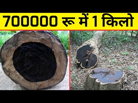 वीडियो: क्लैडिंग के लिए सबसे अच्छी लकड़ी कौन सी है?