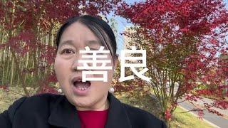 #生活点滴：记录下那些美好的瞬间 16