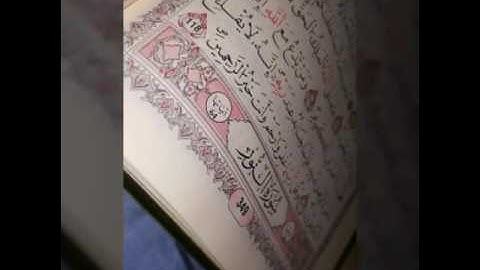 سورة النور للقارئ أبو أسامة برواية ورش عن نافع