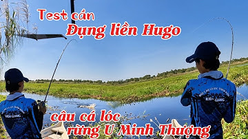 Test cần đụng liền 2 Hugo // Câu cá lóc rừng U Minh Thượng (tập 187) #huukhuynhkiengiang