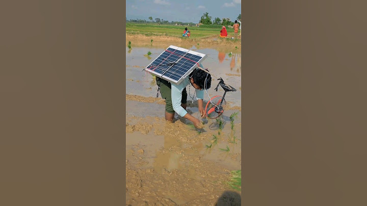 मेको उल्लू बना रहा था 🔥❤️🤣🏏 #bobby_4uhh #trending #cricketshorts #shortvideos #shortsviral #short