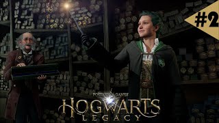 ХОГСМИТ / Hogwarts Legacy | #2