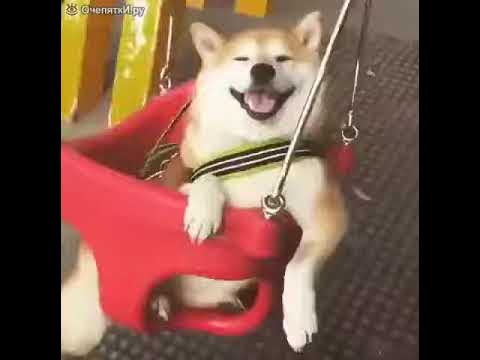 что-то из области пси (Людмила Кравчук) / Стихи.ру