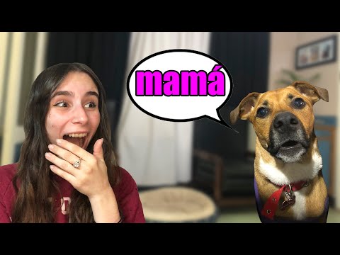 I TAUGHT MY DOG TO TALK AND THIS HAPPENED | Melina Vallejos
