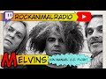 Rocknroll animal live 230508 especial melvins