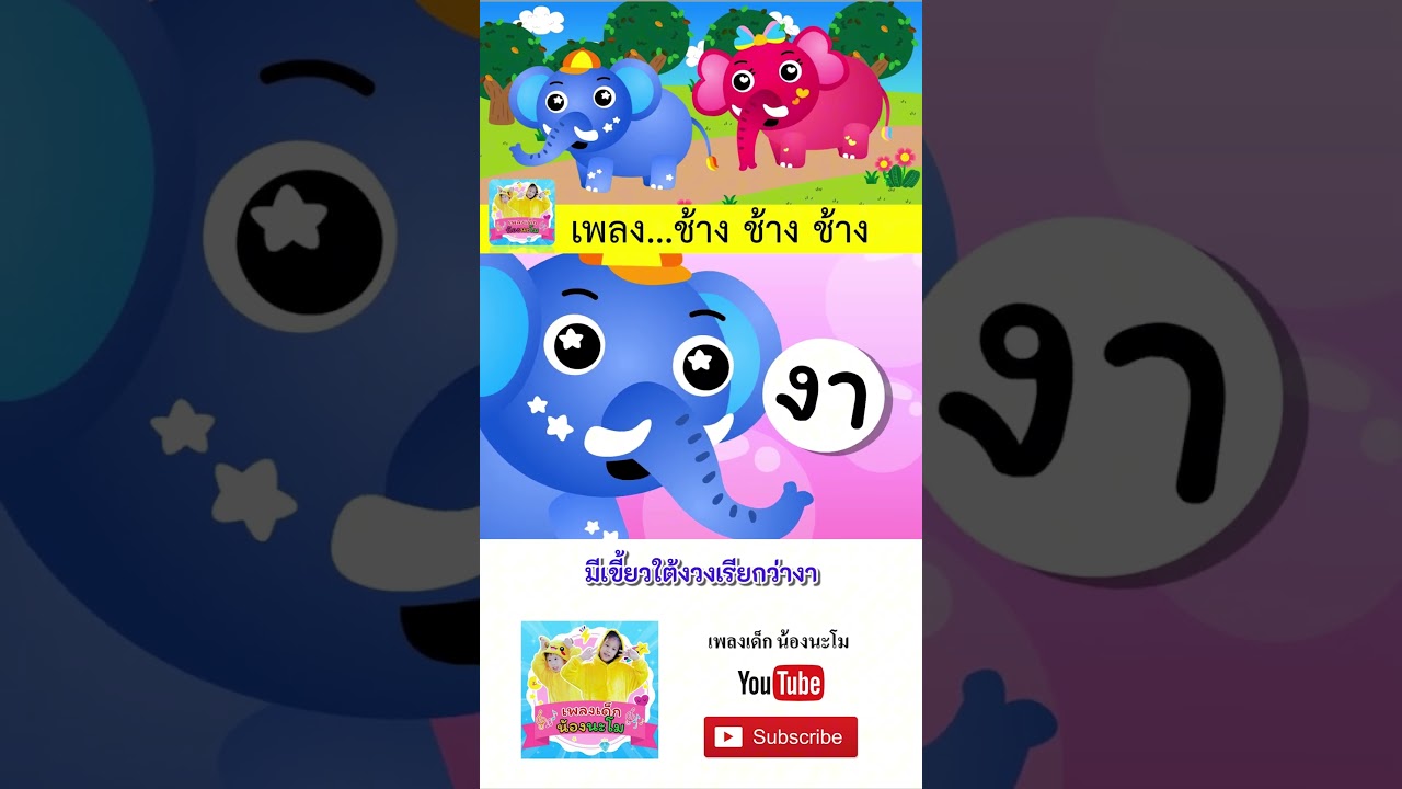 เต่า vs ช้าง