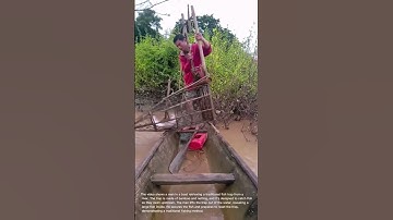 Traditional Fish Trap Catch: Man Retrieves Large Fish from River