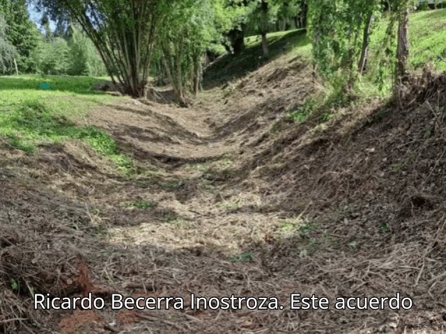 Reproducir