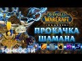 Гайд по прокачке ШАМАНА с 1-60 уровень в World of Warcraft: Classic | Shaman Leveling Guide