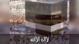 الله أكبر الله أكبر الله أكبر لا اله الا الله والله أكبر الله أكبر ولله الحمد