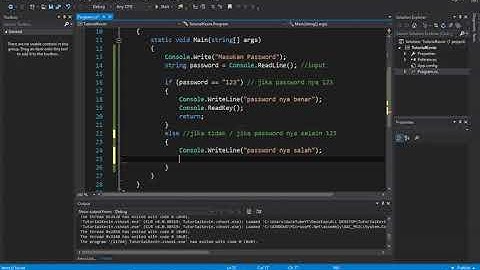 Tutorial | Coding C#: If Else (Simple Password)