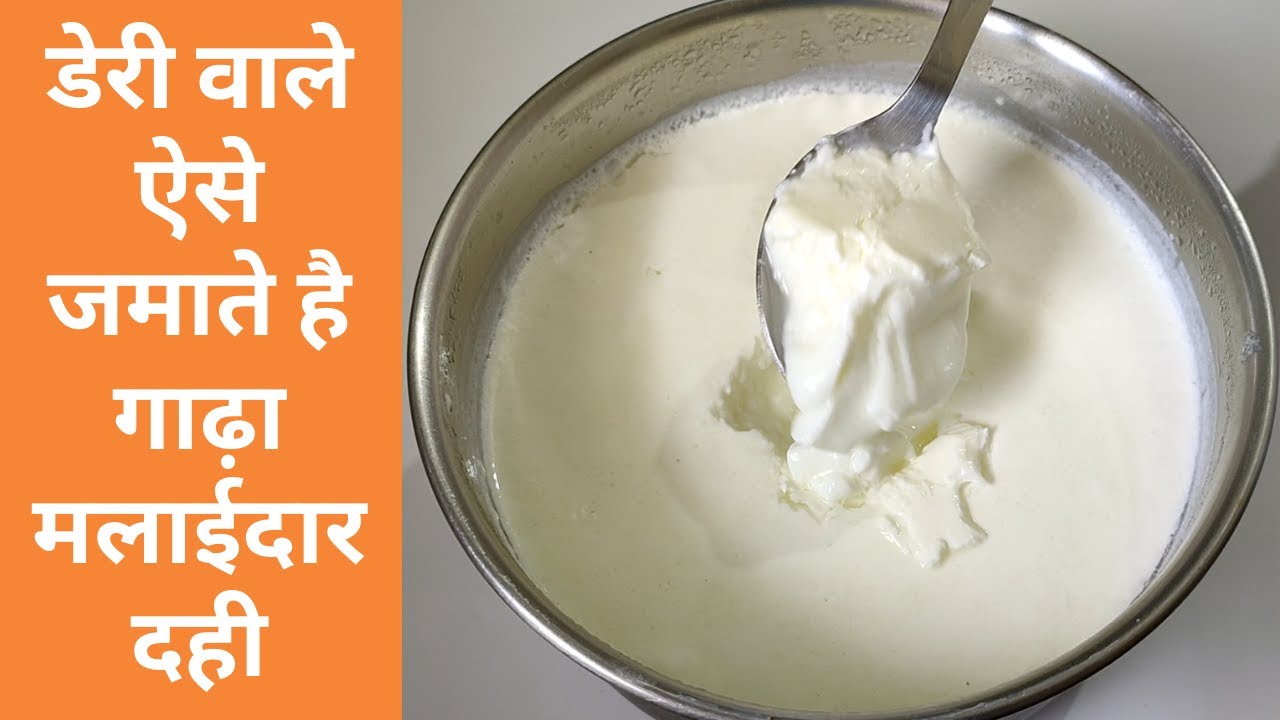 हलवाई वाले ऐसे जमाते है गाढ़ा मलाईदार दही - how to make curd at home - dahi recipe - curd - yogurt - | You Tube