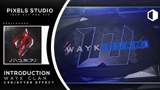 Intro Wayk Clan Mechanic / SkullVodka