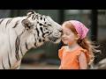 Tiger Keeps Bowing When He Sees This Girl Then They Discover The Sad Reason Tiger Keeps Bowing When He Sees This Girl Then They Discover The Sad Reason