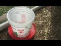 DIY Chickens 5 gallon water bucket!!