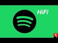 What's the deal with Spotify HiFi?