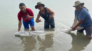 Sturgeon fishing with da bois