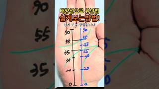 &quot;태양선유년법&quot; 쉽게보는방법!성공,재물,인기#손금
