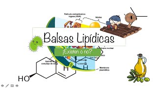 Balsas Lipídicas (estructura, composición y funciones especiales) //  Rodolfo Zamudio. - YouTube