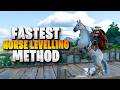 How To Level Up Your Horse Fast in Crimson Desert